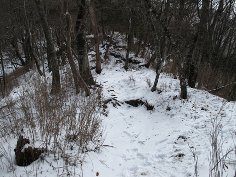 20160218hike (172)